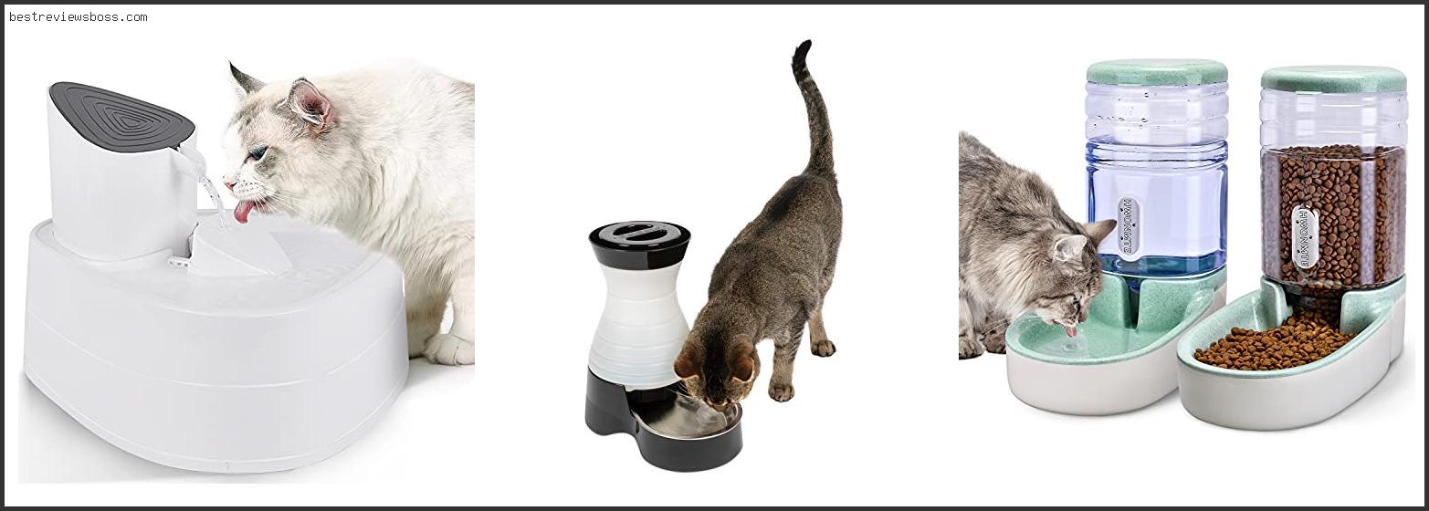 Top 7 Best Automatic Cat Waterer For 2024