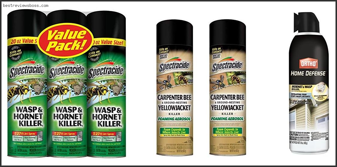 Top 7 Best Bee And Wasp Spray For 2022