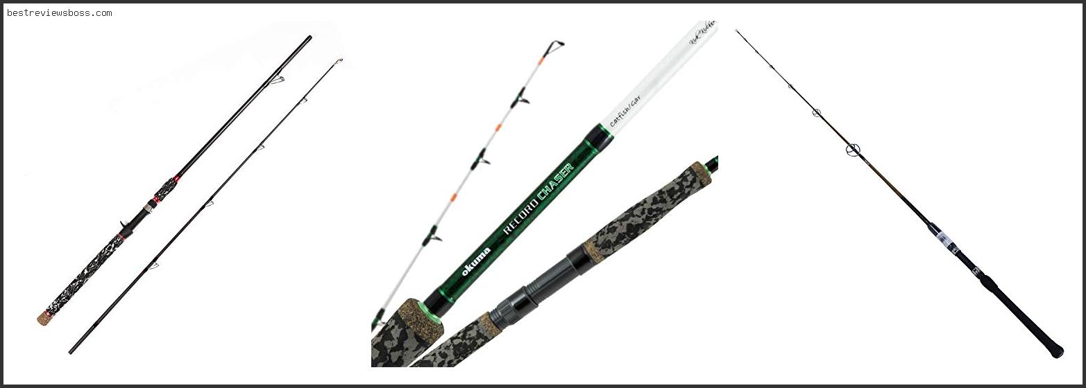 Top 7 Best Action Rod For Catfish For 2022