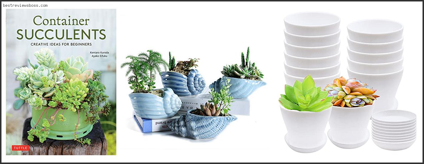 Top 7 Best Containers For Succulents For 2022