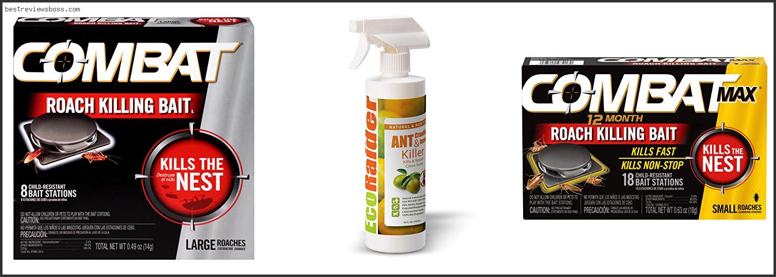 Top 7 Best Anti Cockroach Spray For 2022