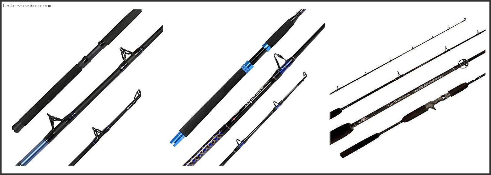 Top 7 Best Conventional Rod For 2022