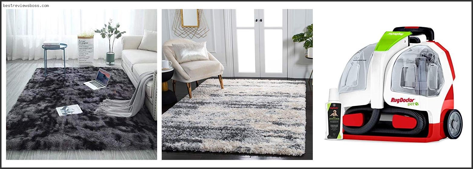 Top 7 Best Carpet Rugs For 2022